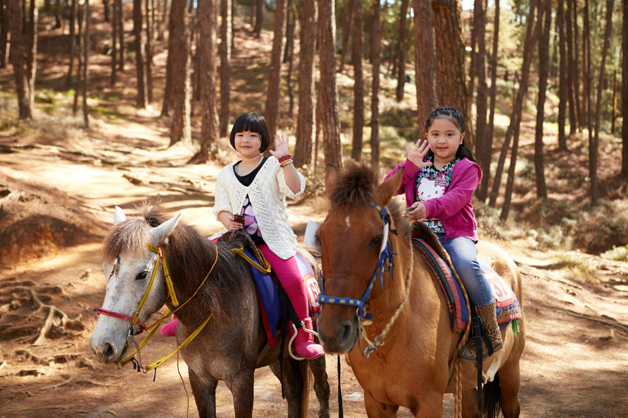 ホテル The Manor At Camp John Hay バギオ エクステリア 写真